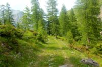 2015-07-03_Sonnjoch (588)b.JPG